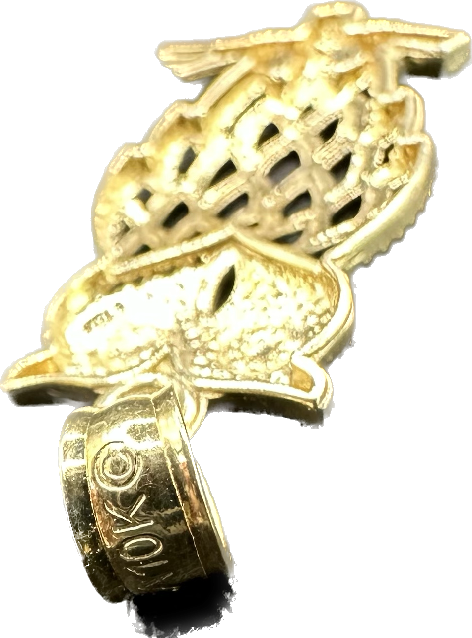 Gold,owl pendant